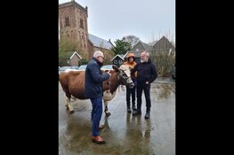 Vernieuwd rundveemuseum te bezoeken op Zondag 13 februari