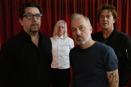 Stakbabber komt naar Manifesto