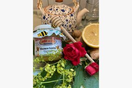 Opgeven voor de workshops, het kan weer!