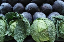 Zondag 3 april “weet wat je eet” in rundveemuseum Aartswoud