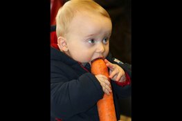 Zondag 3 april “weet wat je eet” in rundveemuseum Aartswoud