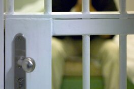 Verdachte vernielingen auto&#39;s aangehouden