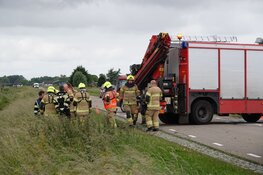 Overleden paard aangetroffen in sloot Enkhuizen