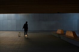 “Boterhal goes Artfarm”  t/m 26 juni 2022 en open in het pinksterweekend!