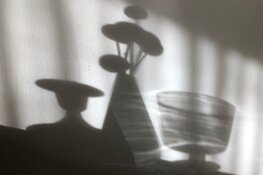 Nieuwe tentoonstelling in De Boterhal: “Hoornse Nieuwe”