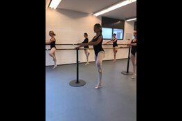 Voorstellingen De Hoornse Balletschool
