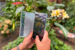 Workshop smartphone fotografie in Den Helder, Alkmaar en Uitgeest