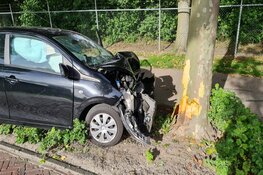 Bestuurder crasht tegen boom in Midwoud