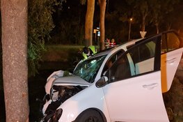 Bestuurder onder invloed crasht tegen boom in Wognum