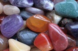 Schatgraven bij Hertenkamp Enkhuizen