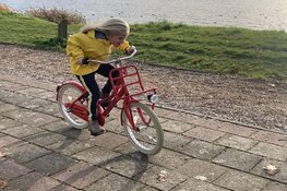 Westfries Museum lanceert 'MuseumJeugdUniversiteit' en 'Museum in de Klas-project'