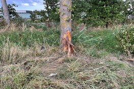Auto tegen boom in Wervershoof, bestuurder gewond