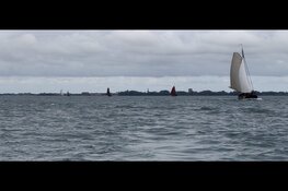 Zeilwedstrijden Bruine Vloot