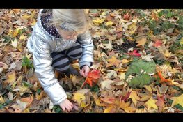 Herfstvakantie vol activiteiten bij Hertenkamp Enkhuizen