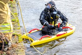 Kat vast onder brug gered door brandweer Hoorn