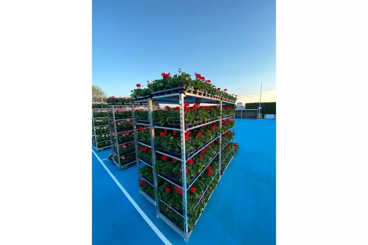 Vernieuwde plantenactie HV Blokker 2023