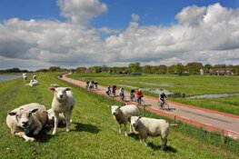 Ontdek het mooie landschap van West-Friesland tijdens de Fiets4Daagse Hoorn