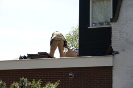 Brand ontstaan tijdens het wegbranden van wespennest