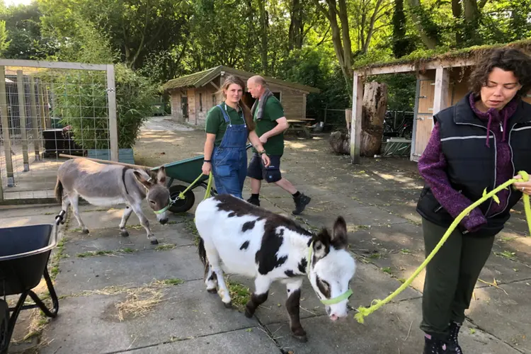 Open dag van de zorgboerderij op 3 juni