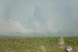 Rietbrand in Lutjebroek