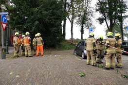 Woningen ontruimd in Enkhuizen vanwege vallende bomen