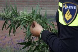 Hennepkwekerij aangetroffen na tip