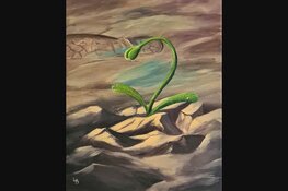 Zomer expositie “Geïnspireerd door de natuur”