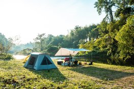 Vraag een gratis tekenpas aan bij Landschap Noord-Holland