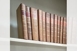 Gezocht: Diefstal kunst – Dam – Medemblik