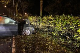 Auto rijdt tegen boom in Grootebroek