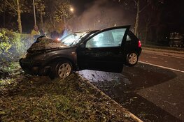 Auto rijdt tegen boom in Grootebroek