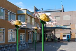 Ontdek de magie van de winter op Woonzorglocatie De Hoge Hop