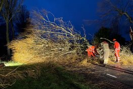 Grote tak op de weg in Bovenkarspel, verkeer gestremd