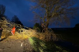 Grote tak op de weg in Bovenkarspel, verkeer gestremd