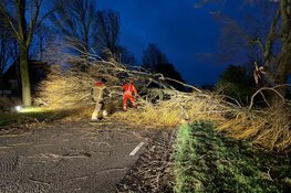 Grote tak op de weg in Bovenkarspel, verkeer gestremd