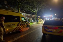 Auto tegen boom gereden in Hoorn