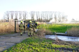 Rietbrandje in Enkhuizen