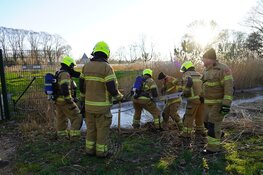 Rietbrandje in Enkhuizen