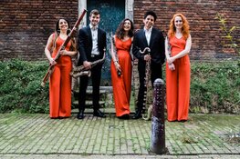 Klassiek in Het Park op zondagochtend