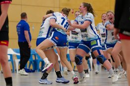 Na twee competitienederlagen is SEW in beker wel te sterk voor VZV