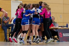 Na twee competitienederlagen is SEW in beker wel te sterk voor VZV