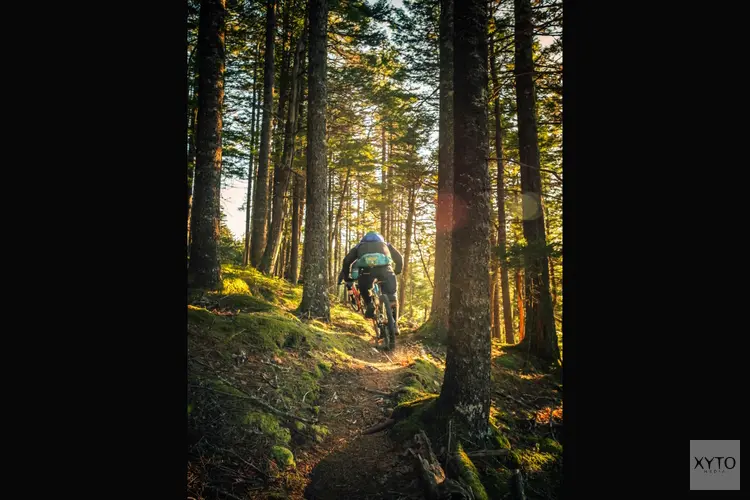 Fietsen Langs de Maas: Een Sportieve Vakantie in het Hart van Limburg