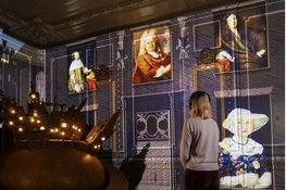 Historische wandelingen door Hoorn