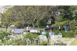 Hobby en Kunstroute in Enkhuizen