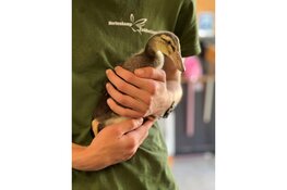 Open huis Dagbesteding Hertenkamp Enkhuizen