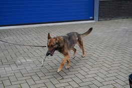 Controle door politie op bedrijfspanden in Zwaagdijk