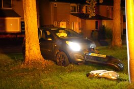 Auto tegen boom en lantaarnpaal gereden in Hoorn