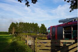 Buitenbrand in coniferenhaag en twee schuurtjes in Hem