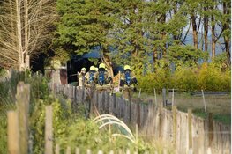 Buitenbrand in coniferenhaag en twee schuurtjes in Hem