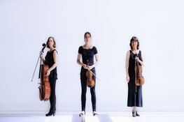 Opening nieuwe seizoen klassieke kamermuziek in Het Park op zondagochtend 15 september a.s.